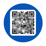 WhatsApp:+86 15137297962